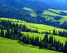 开云体育下载-新疆治疆方略20字